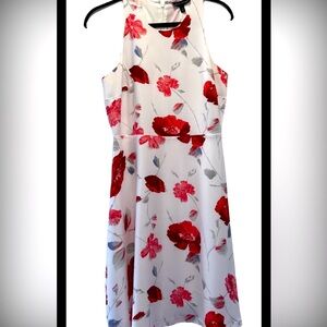 Banana Republic Red and White Floral Dress